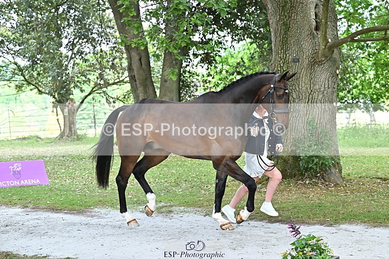 250521A-152428-00488 - B-310-Kitty.King-LISCARROW.FERNHILL