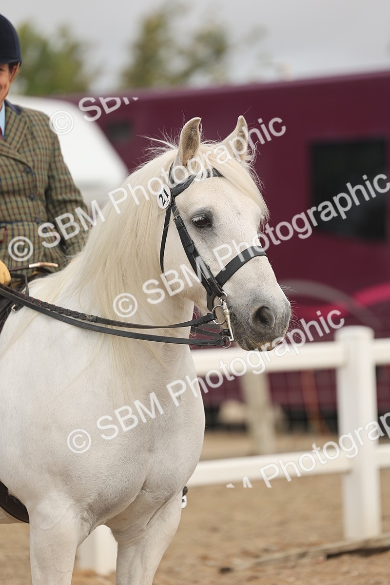 SBM_01960 - Class 14 - Ridden M&M Wildcard