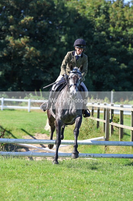 3E7A7777 - Class 2: Open Working Hunter pony