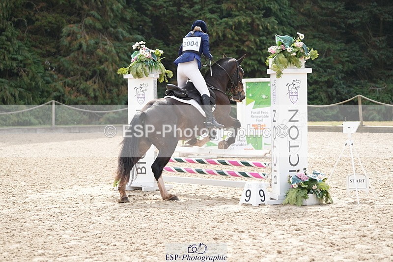 250824A-105121-34934 - 2004-Anaya.Stoneman-Anablaha.Blue