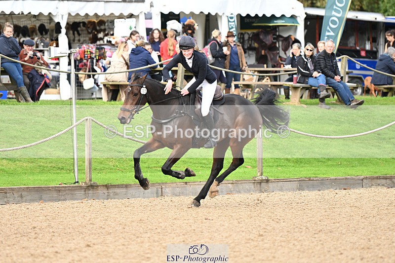 241025-121753-07522 - 205-Alderney.Street-KYTANO