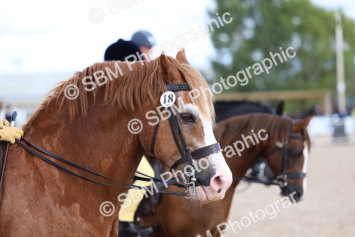 SBM_17602 - Class 316 - Best Pony - Rider Combination
