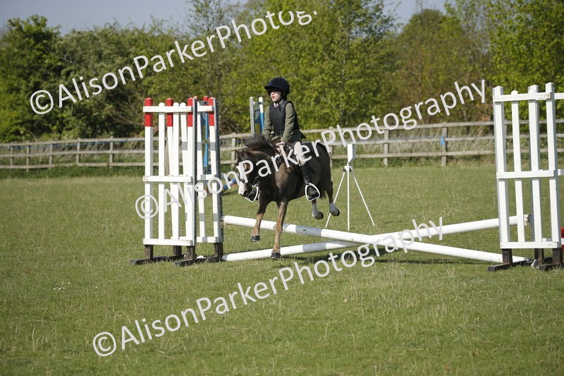 20250427-0413 - Class 12 - Rookie Jumping 40cm