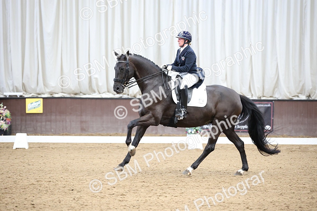 SBM_004788 - Class 9 - FEI Inter 1 Gold - 16.59-17.47