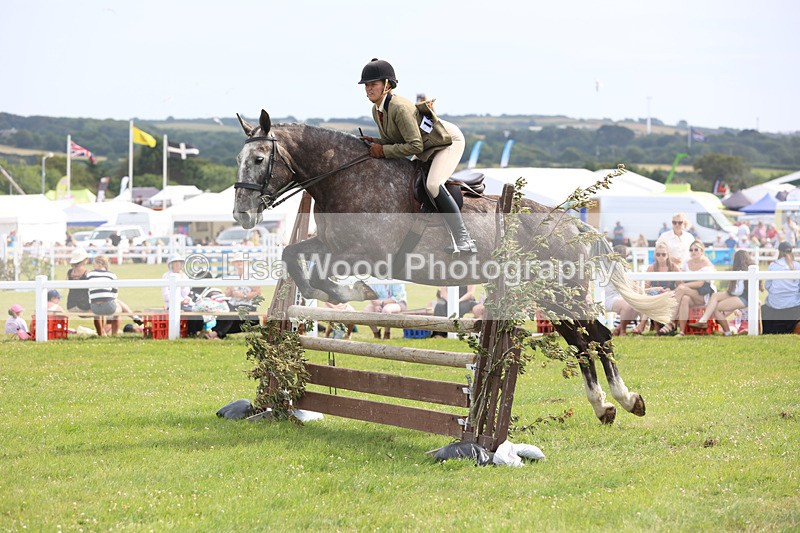 JPP_4088 - Class 24: Working Hunter 90cm
