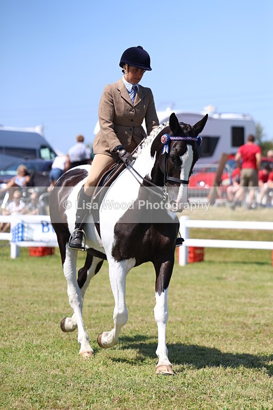 3E7A7866 - Class 7: Open Riding Horse