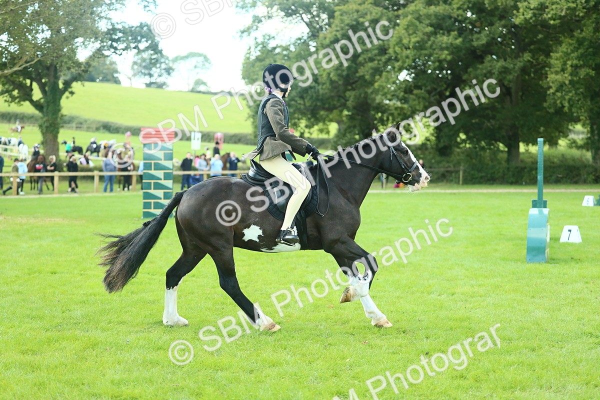 SBM_42015 - S29 - Novice & Newcomers Working Hunter Pony