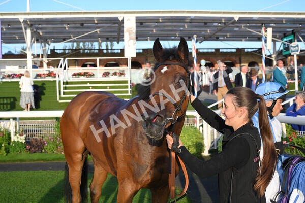 yr08102021r6-31 - Race 6 4.55pm Frank Whittle Partnership British EBF Restricted Novice Stakes