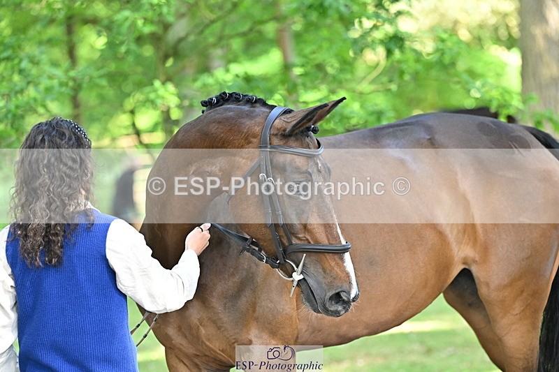 250521A-165704-01426 - C-274-Bizzy.Loffet-LONGBROOK.CHILLI.FLOWER