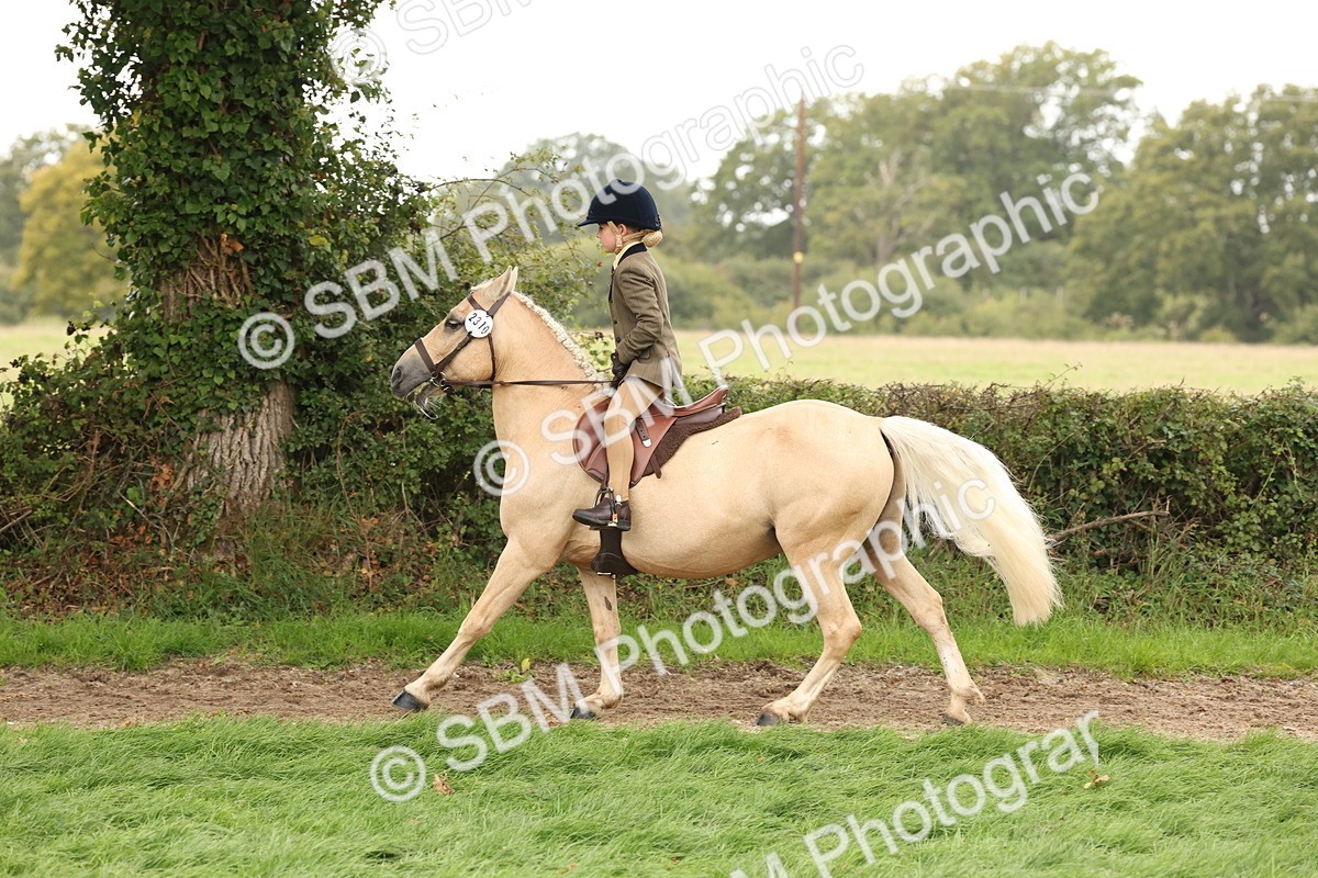 SBM_63018 - S64 - Foreign Breeds Ridden