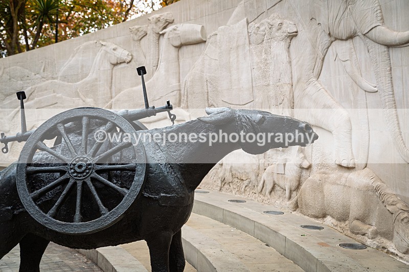 Z62_4433 - Animals In War Memorial 2025 - Park Lane, London