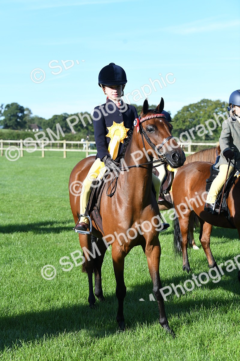 SBM_34124 - S16 - Condition & Turnout - Ridden