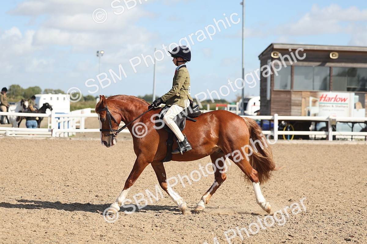 SBM_23073 - Class 806 - Young Rider 10ry and Under