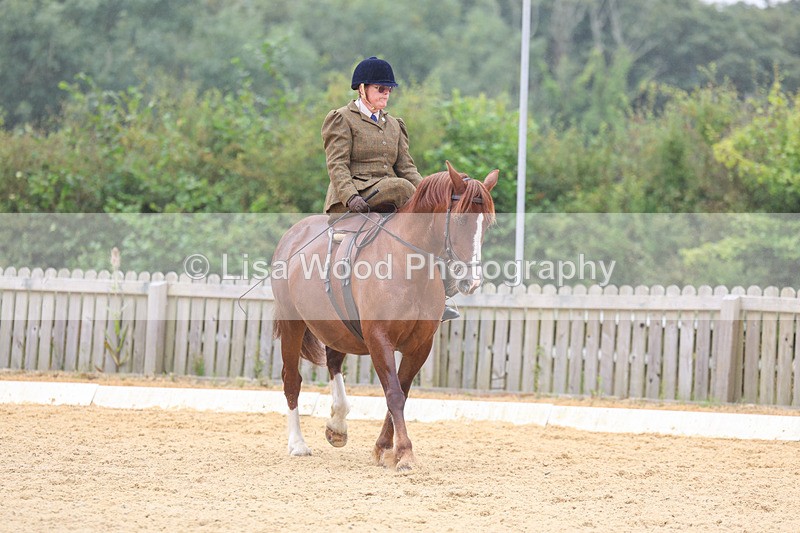 3E7A5478 - Class 2: Intro 4 2024 section B