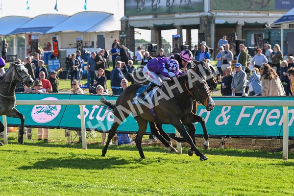 140525-Race 7-Great Bedwyn-3079 - Race 7 5.25pm Stuey Weston & Friends Getting Out Handicap