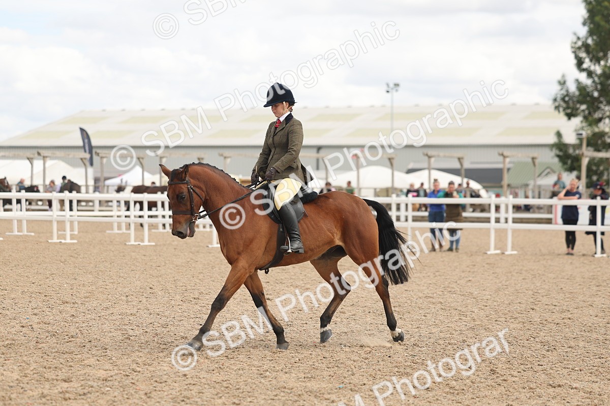 SBM_16008 - Class 311 - Ridden Show pony-Show hunter Pony