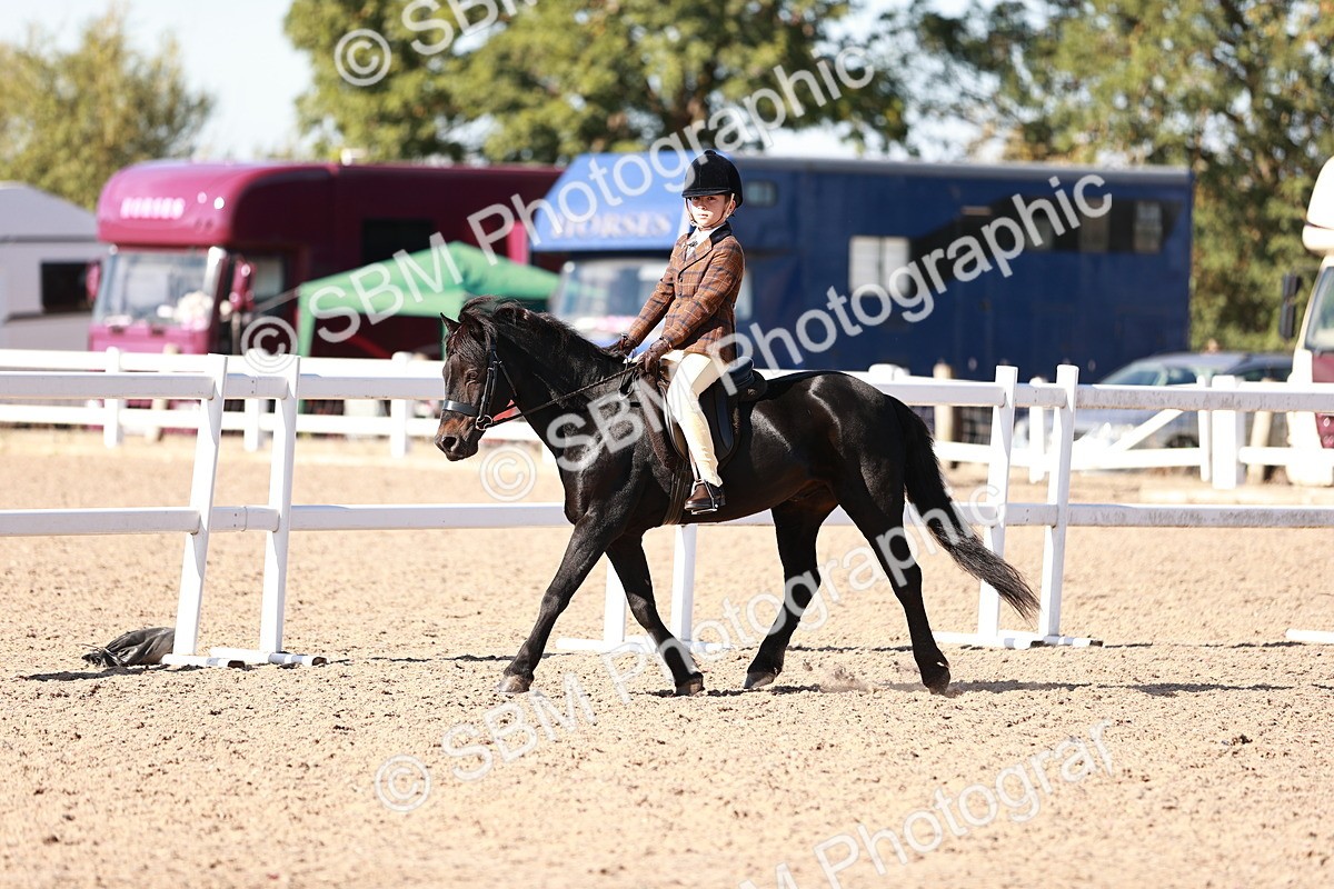 SBM_12509 - Class 403 - Grassroots Ridden - Junior