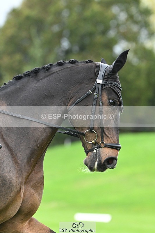 241024-100614-02928 - 406-Harvey.Crocker-THE.NIGHT.TRAVELLER