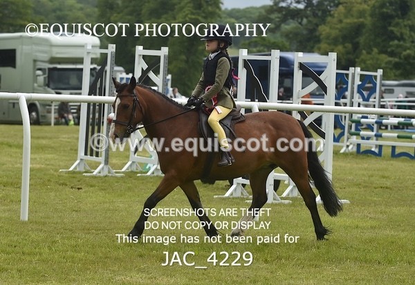 JAC_4229 - WORKING HUNTER CHAMPIONSHIP