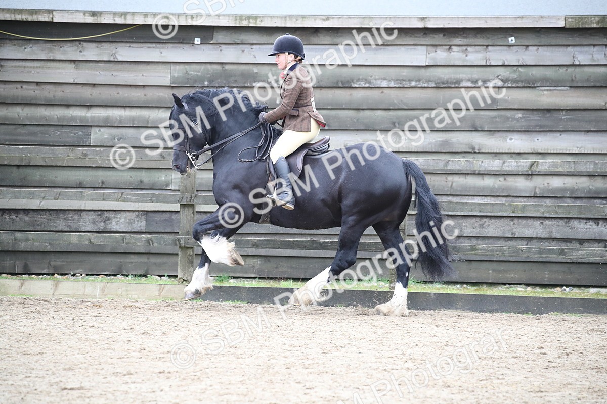 SBM_007085 - Class 10-13 - RIHS Small Large Breeds