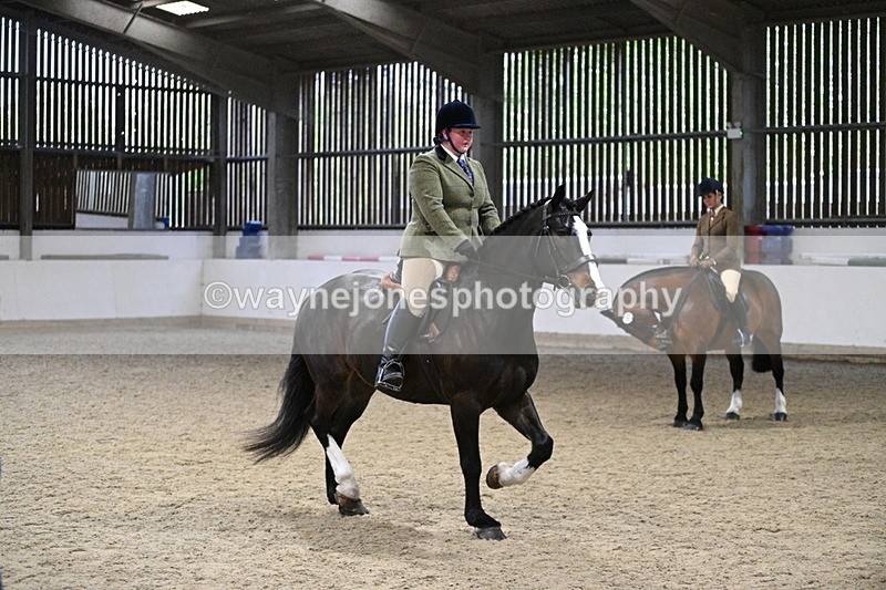 WJ7_3944 - Class 17 Ridden Cob