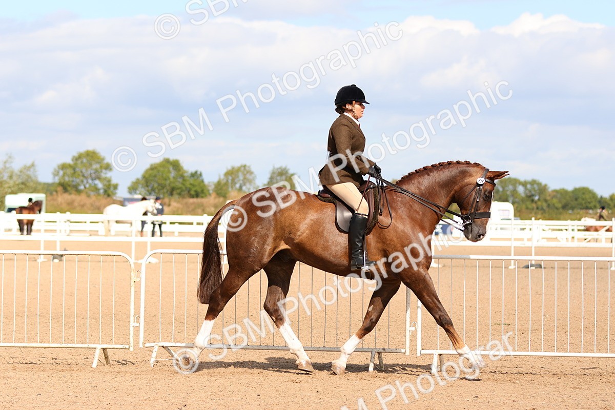 SBM_13466 - Class 212 - Ridden Hunter  - Large