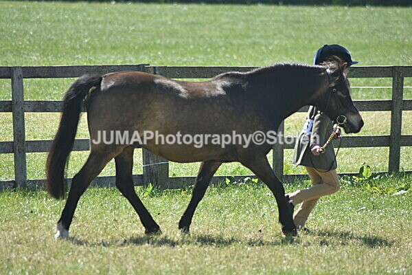 DSC_9036 - Rings 1 & 2