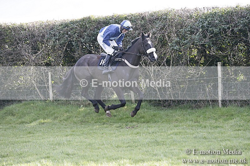 PtP 040218 446 - Point-to-Point Milborne St Andrew 04/02/18