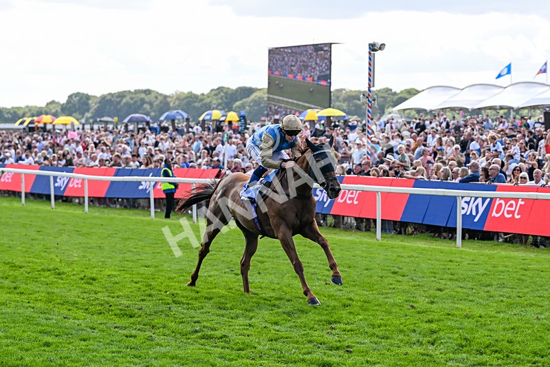 220826-Race 1-Archivist-9243 - Race 1 13.50pm Sky Bet Strensall Stakes