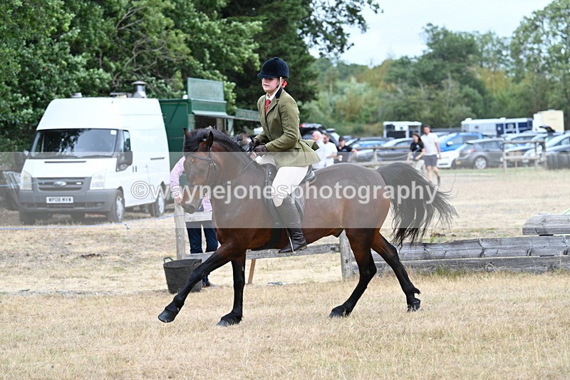 WJ7_0643 - Class 6 Ridden Mountain and Moorland