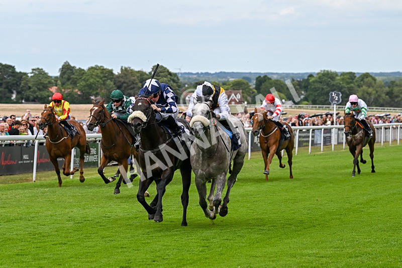 050725-Race 2-Mo Of Cairo-7507 - Race 2