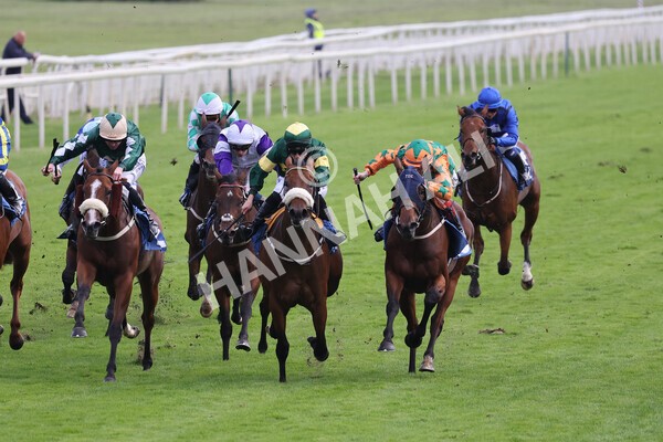 yr24092021r7-30 - Race 7 4.55pm William Hill Free or Four Fillies' Stakes