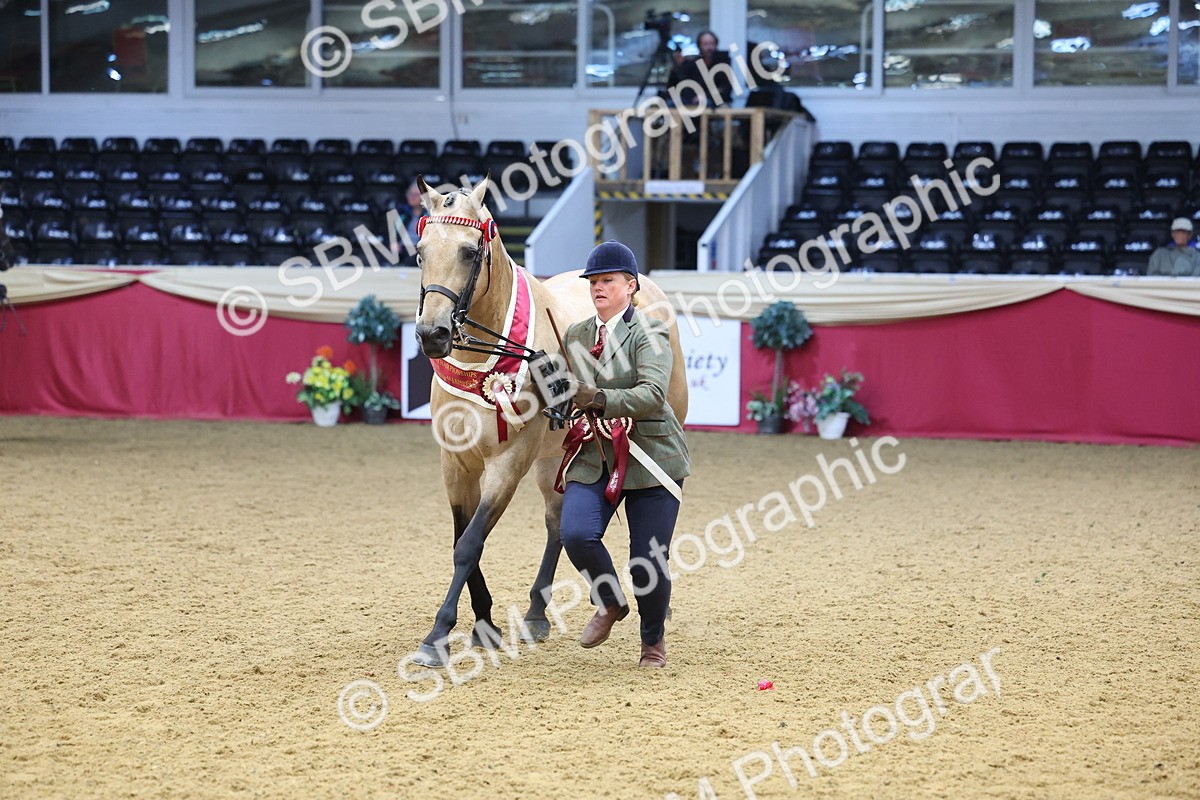 SBM_21208 - Class 902 - Supreme Final IH Veteran
