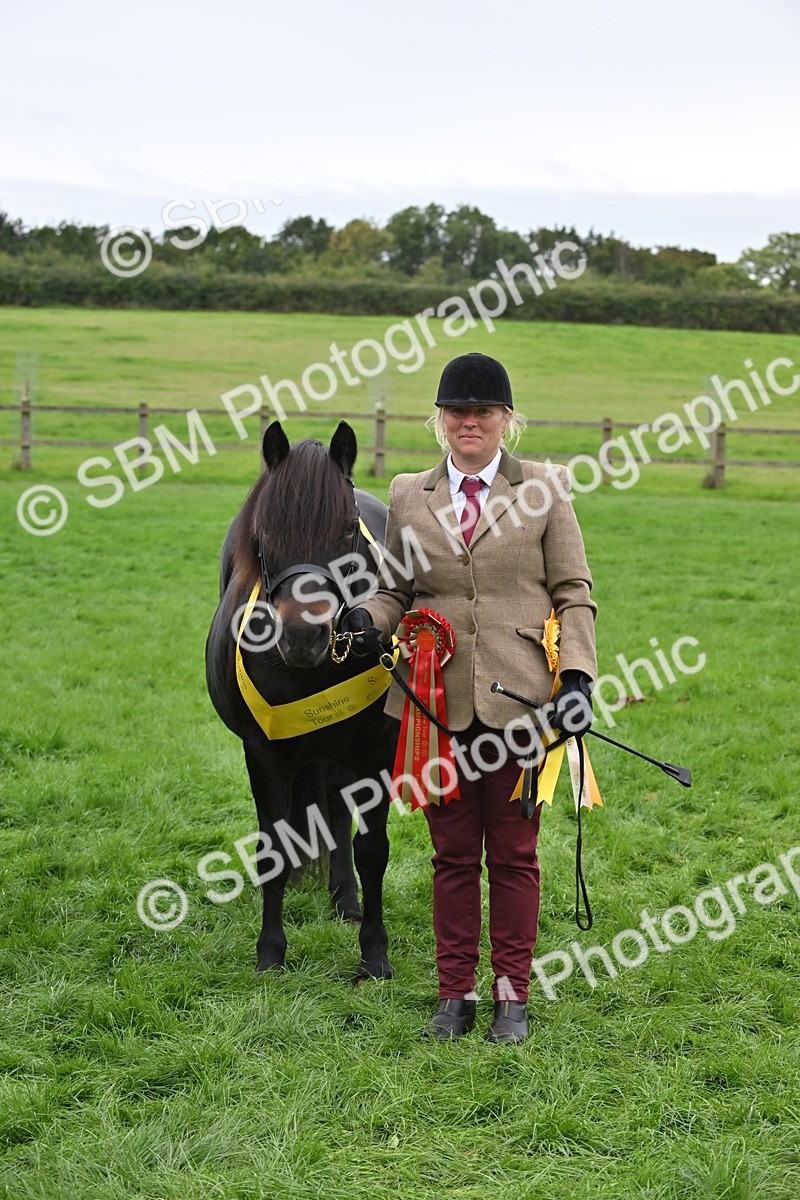 SBM_65038 - In Hand Pony & Younstock Supreme Championship