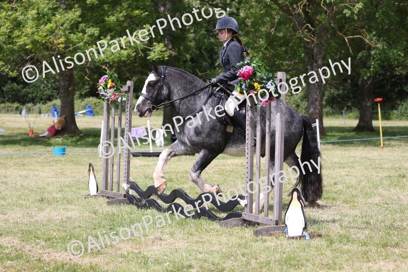 20260614-1975 - Class 21 - Novice Working Hunter Pony