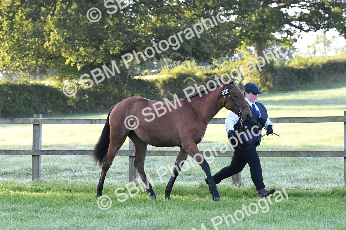 SBM_32560 - S15 - Condition & Turnout In Hand