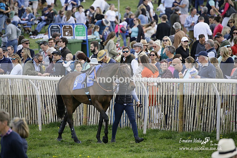PtP 180422 39 - Old Berkshire PtP Lockinge 18/04/22