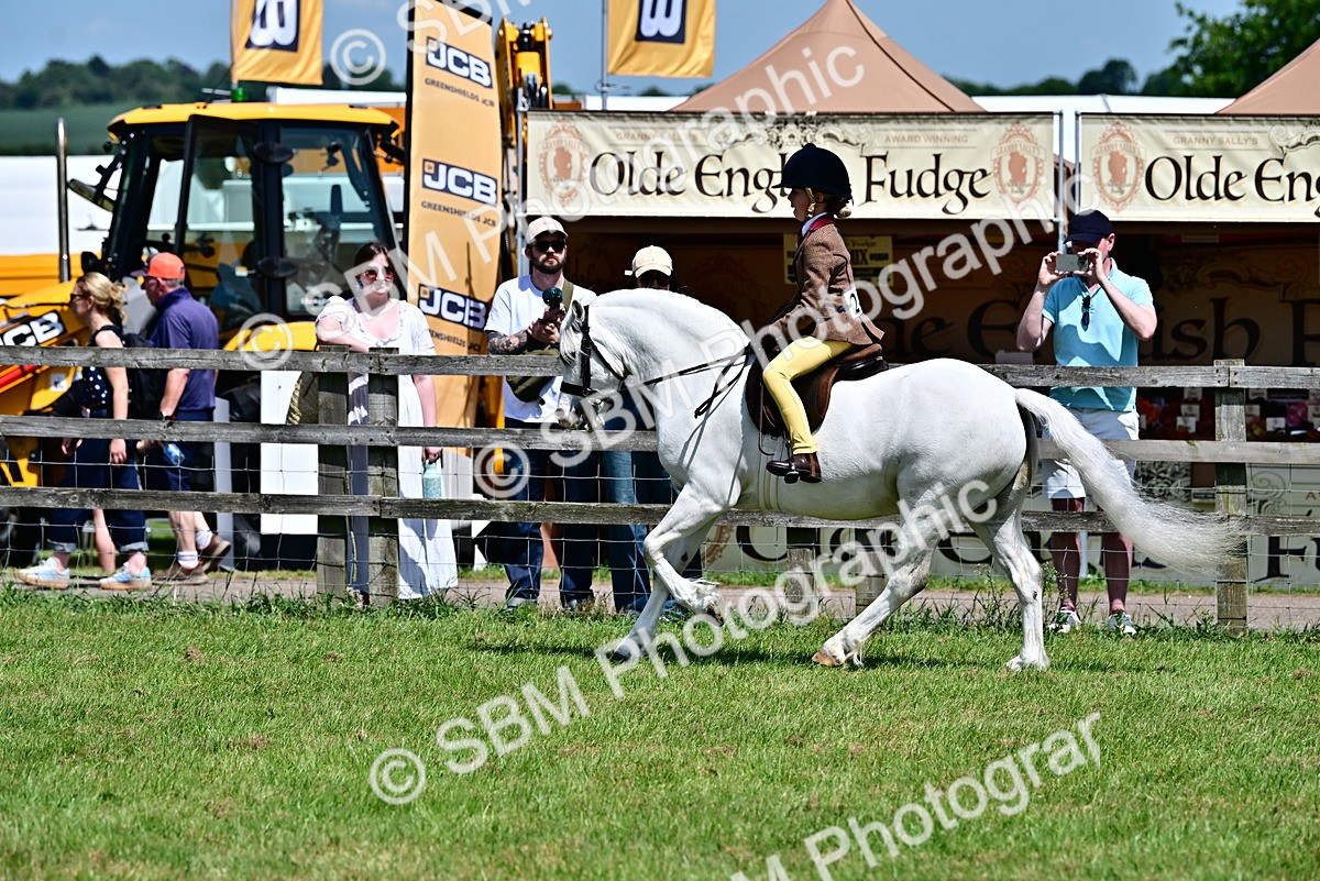 SBM_06068 - Class 59-60 - TSR M&M  Lear Rein and First Ridden Amateur of the year