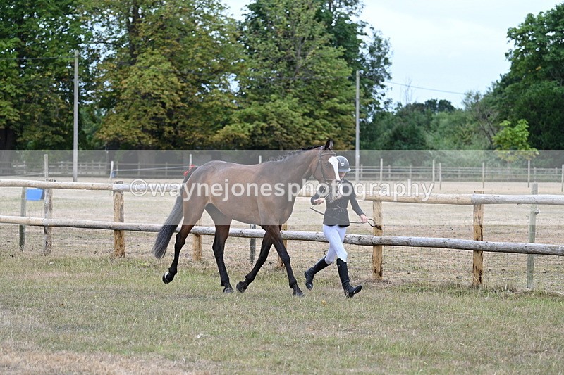 WJ7_8782 - Class 4a Prettiest Mare 14.2hh and over