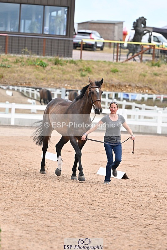 250716-135711-00808 - Trot Up 1.30 to 2.30