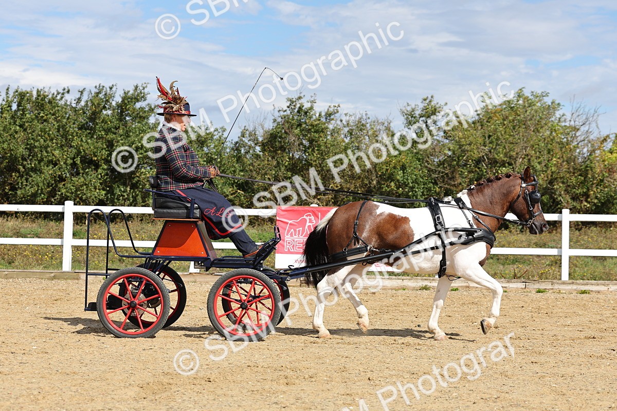 SBM_000895 - Class 8 - Novice Horse or Pony to any vehicle