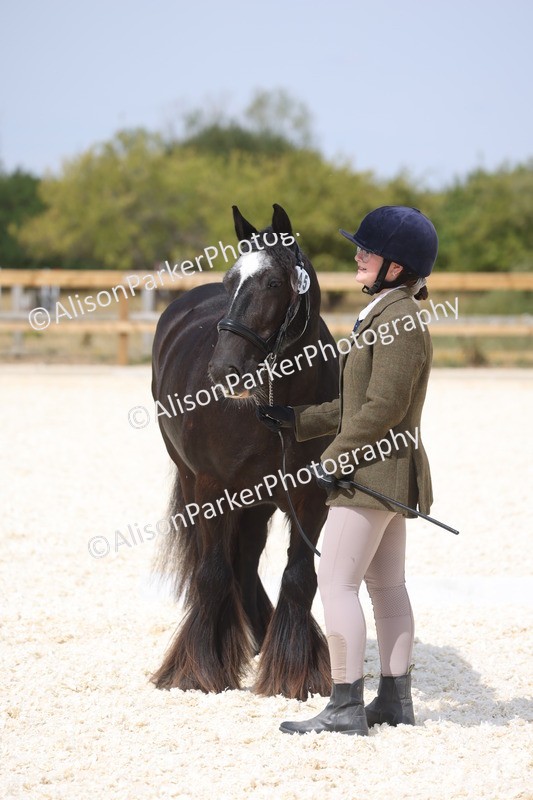 20260802-1503 - Class 16 - Best Horse or Pony