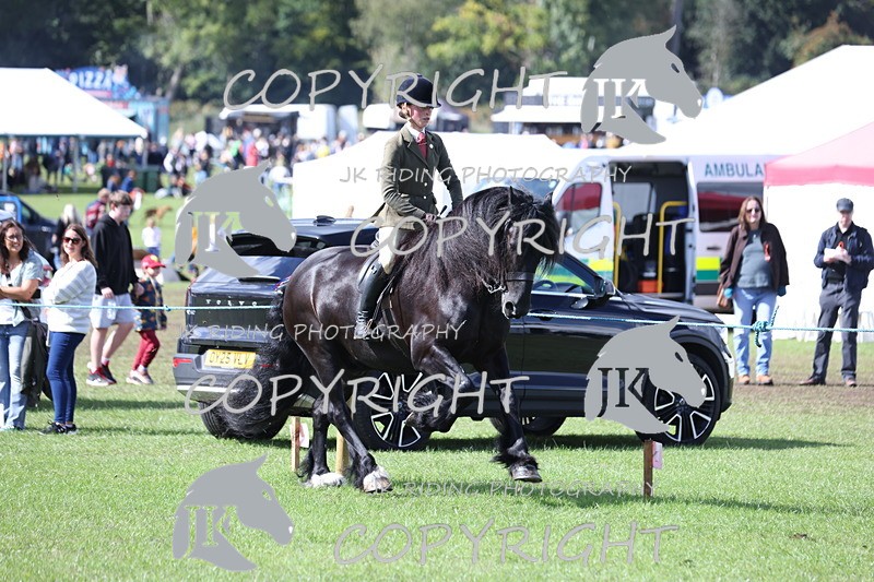 APP_3514 - Class 12 M&M ridden