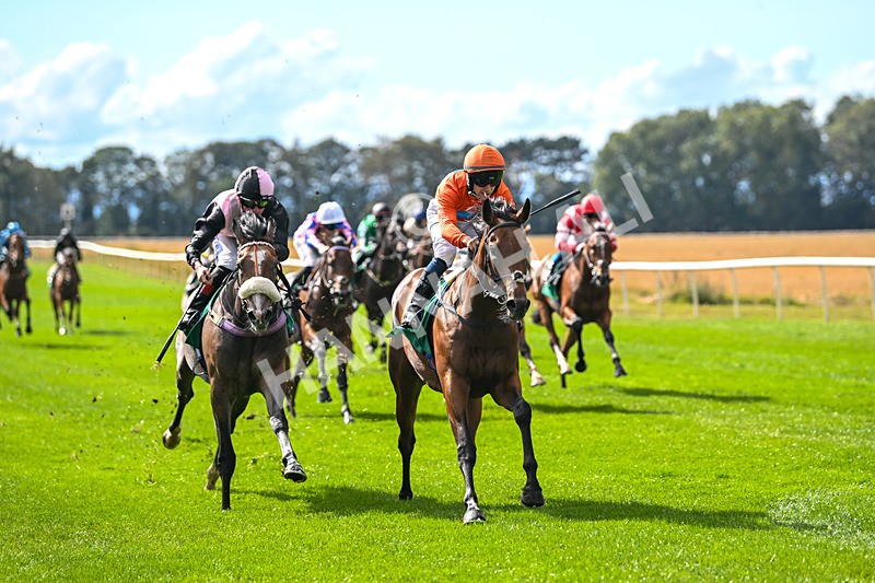 290825-Race 3-Be The Standard-8602 - Race 3