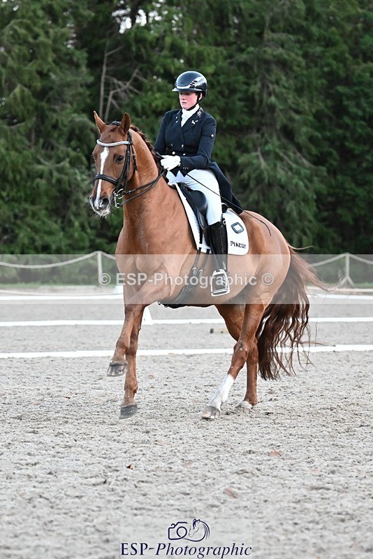 231110-163920-02707 - Cls 14 FEI Grand Prix