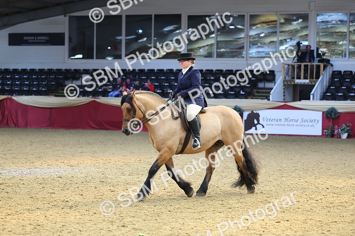 SBM_24374 - Class 906 - Supreme Final - Ridden Pre Vet