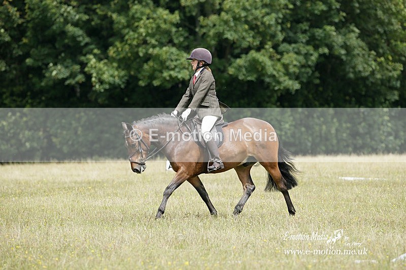 BVRC 030721 402 - Bourne Valley Riding Club Dressage 03/07/21