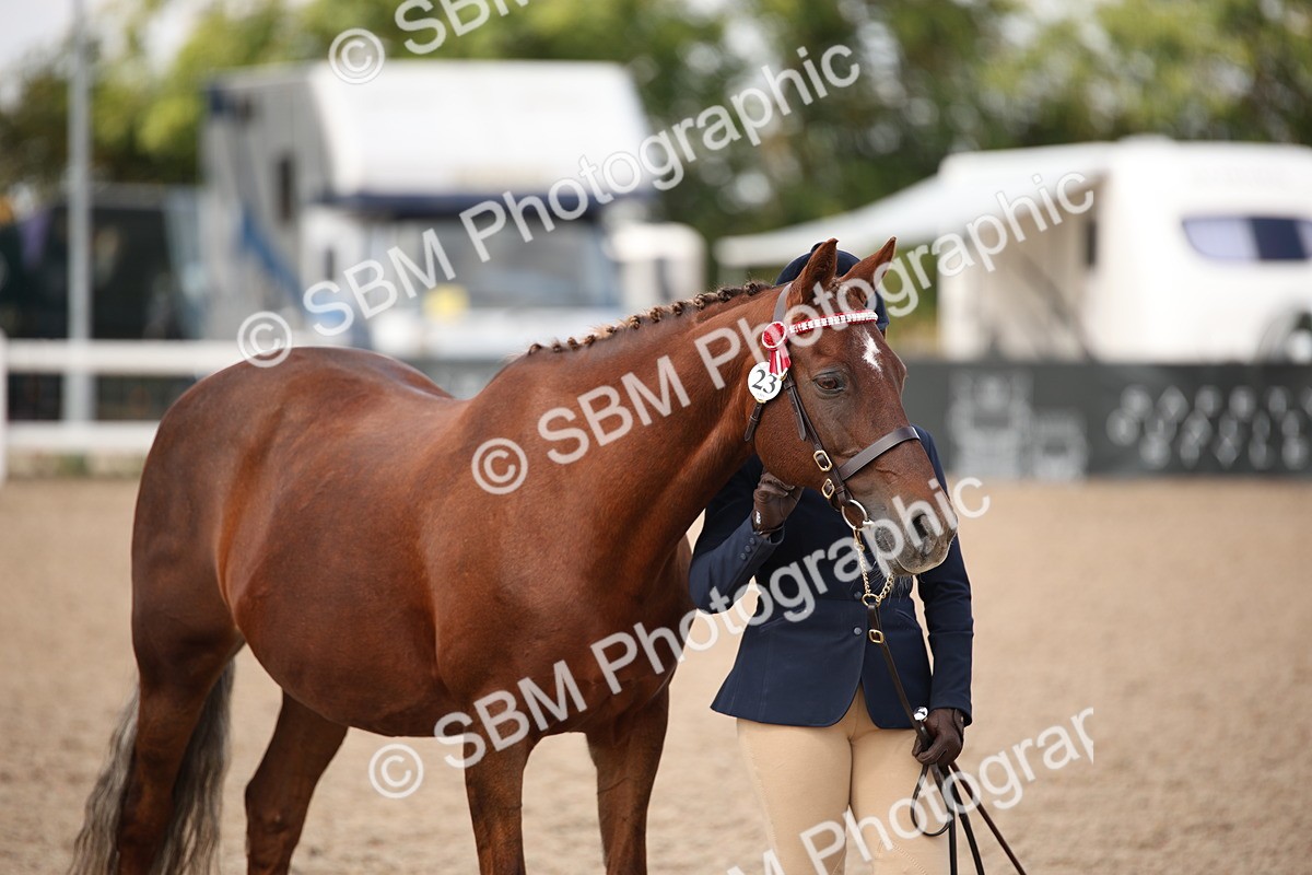 SBM_03789 - Class 19 Judge's Favourite