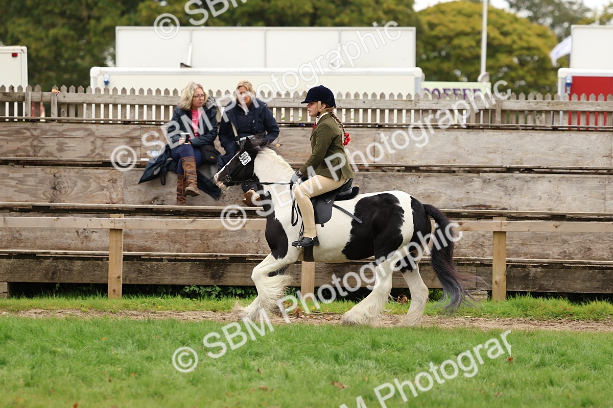 SBM_64516 - S58 - Coloured Pony Ridden