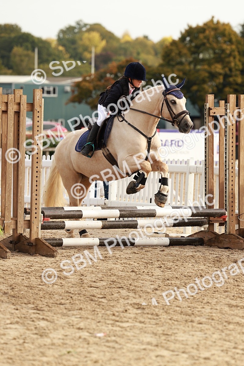 SBM_55717 - J11 - Junior Pony 50cm Championship